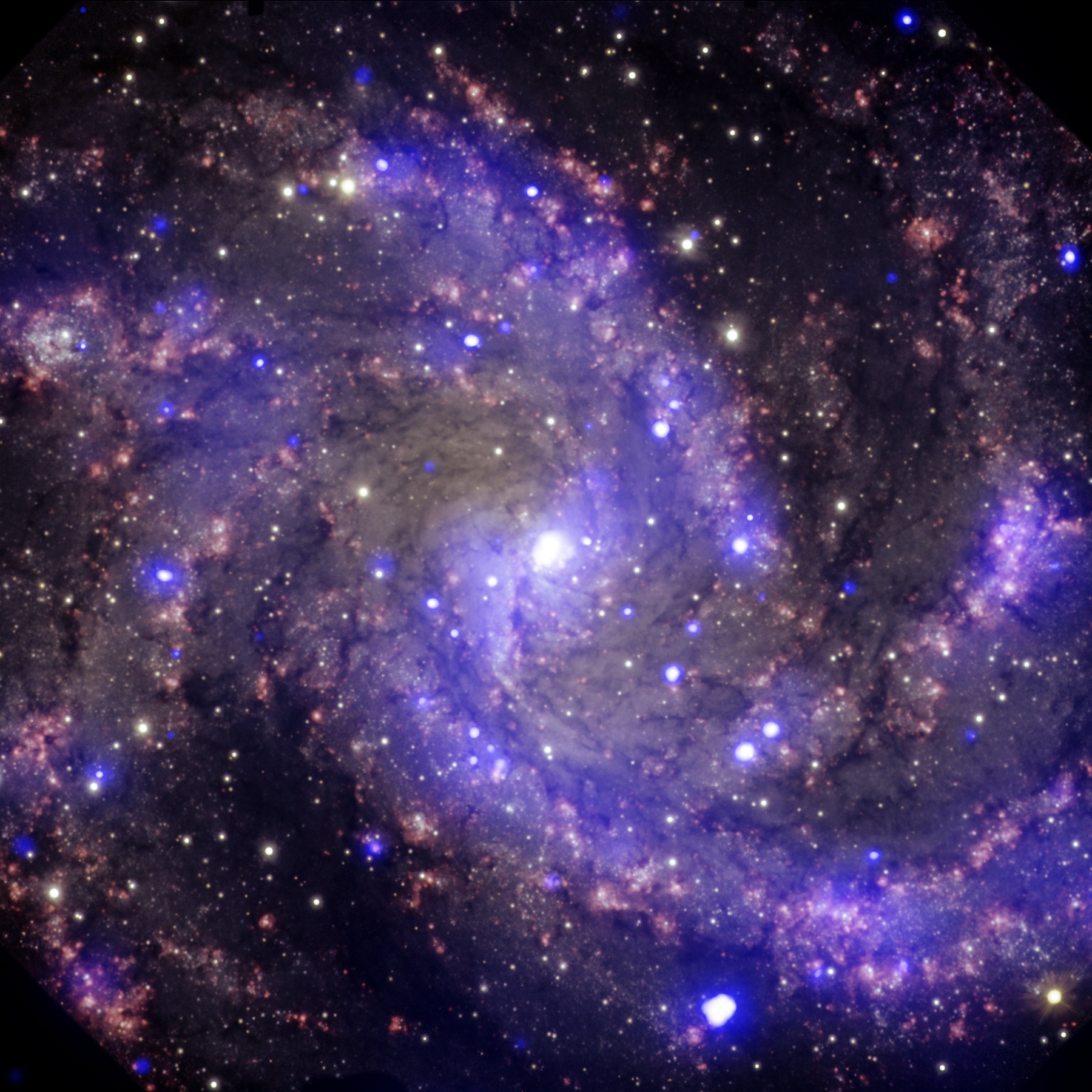 archives_ngc6946.jpg