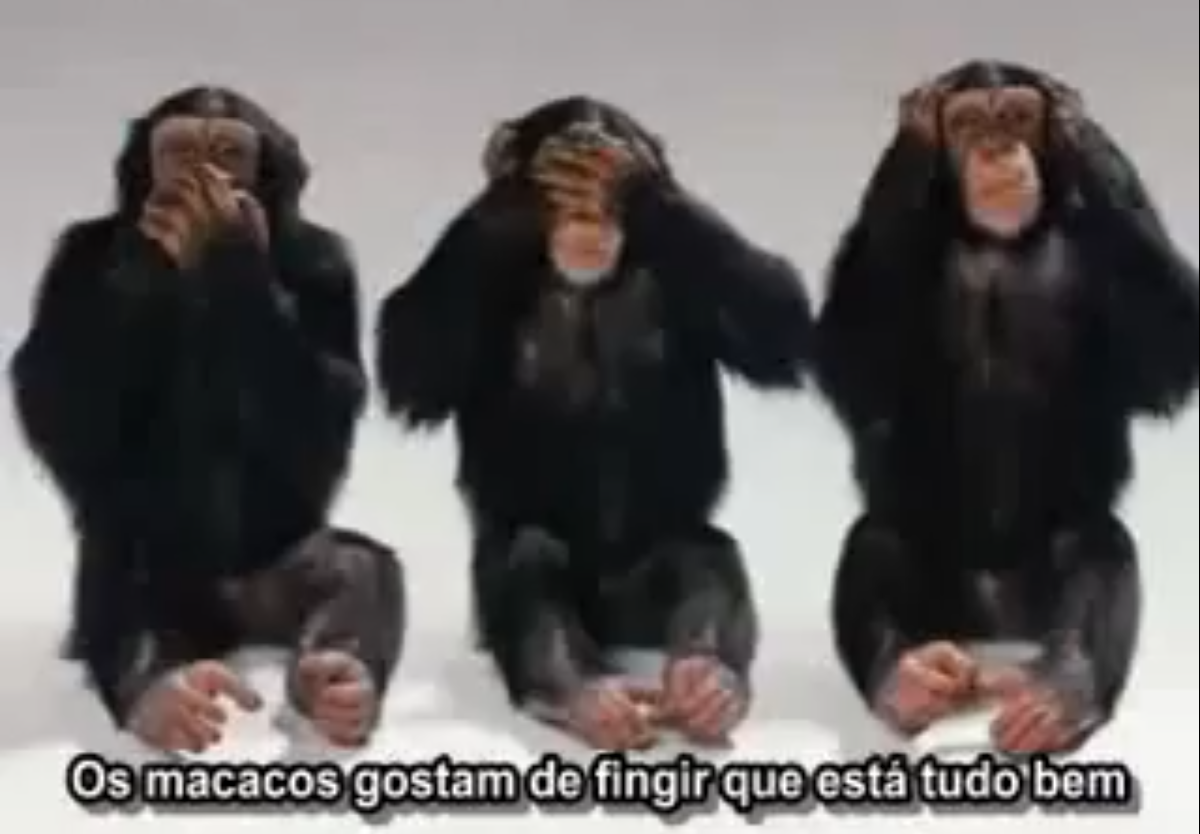 DANCEM MACACOS, DANCEM! – Fantástico Mundo de Bob